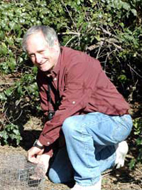 John Wingfield