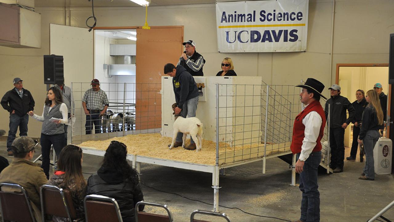 Aggie Classic Sale #2 at Cole A Facility UCD 