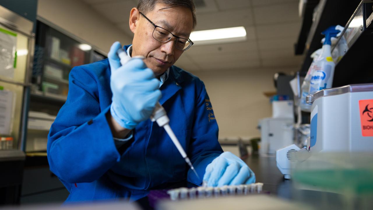 Scientist Huaijun Zhou at a lab bench with pippet