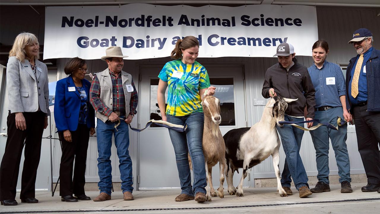 Goat Dairy